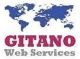 Global Web Business Services