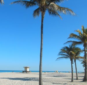 A sandy beach with palm trees and a lifeguard tower, under a clear blue sky. People are visible at a distance enjoying the beach.