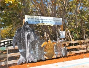 An educational display featuring life-size cutouts of various sea turtles and a large whale, alongside a sign reading "Welcome to the Marine Environmental Education Center at the Carpenter House!" with trees in the background.