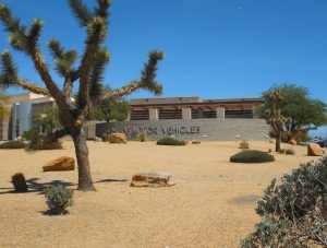 A Department of Motor Vehicles (DMV) building with a desert landscaping which includes Joshua trees, cacti, and large rocks under a clear blue sky.