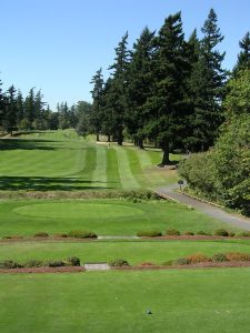 A lush golf course with manicured green lawns, trimmed hedges, towering evergreen trees under a clear blue sky. A golf tee and path are visible in the foreground.