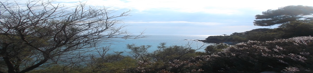 AI applications and tools