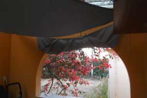 A fabric canopy hangs over an arched window revealing vibrant bougainvillea flowers outside, framed by a warm orange wall.