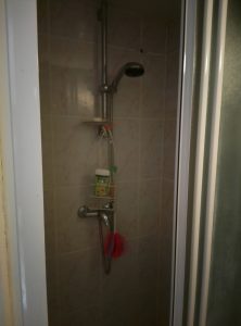 A glimpse of a compact shower space featuring a showerhead, a soap shelf, and bath accessories including a loofah and shampoo.